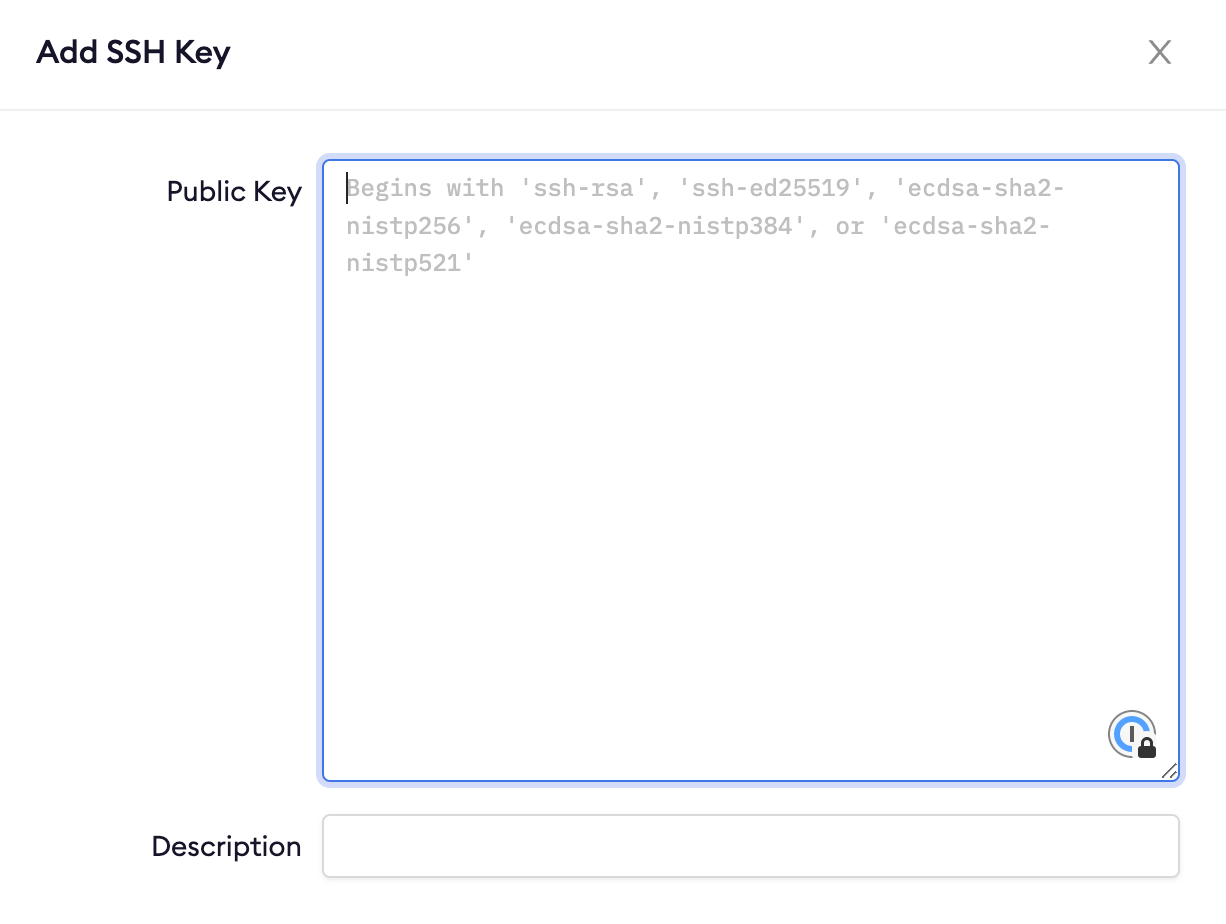 Ngrok SSH Public Keys section