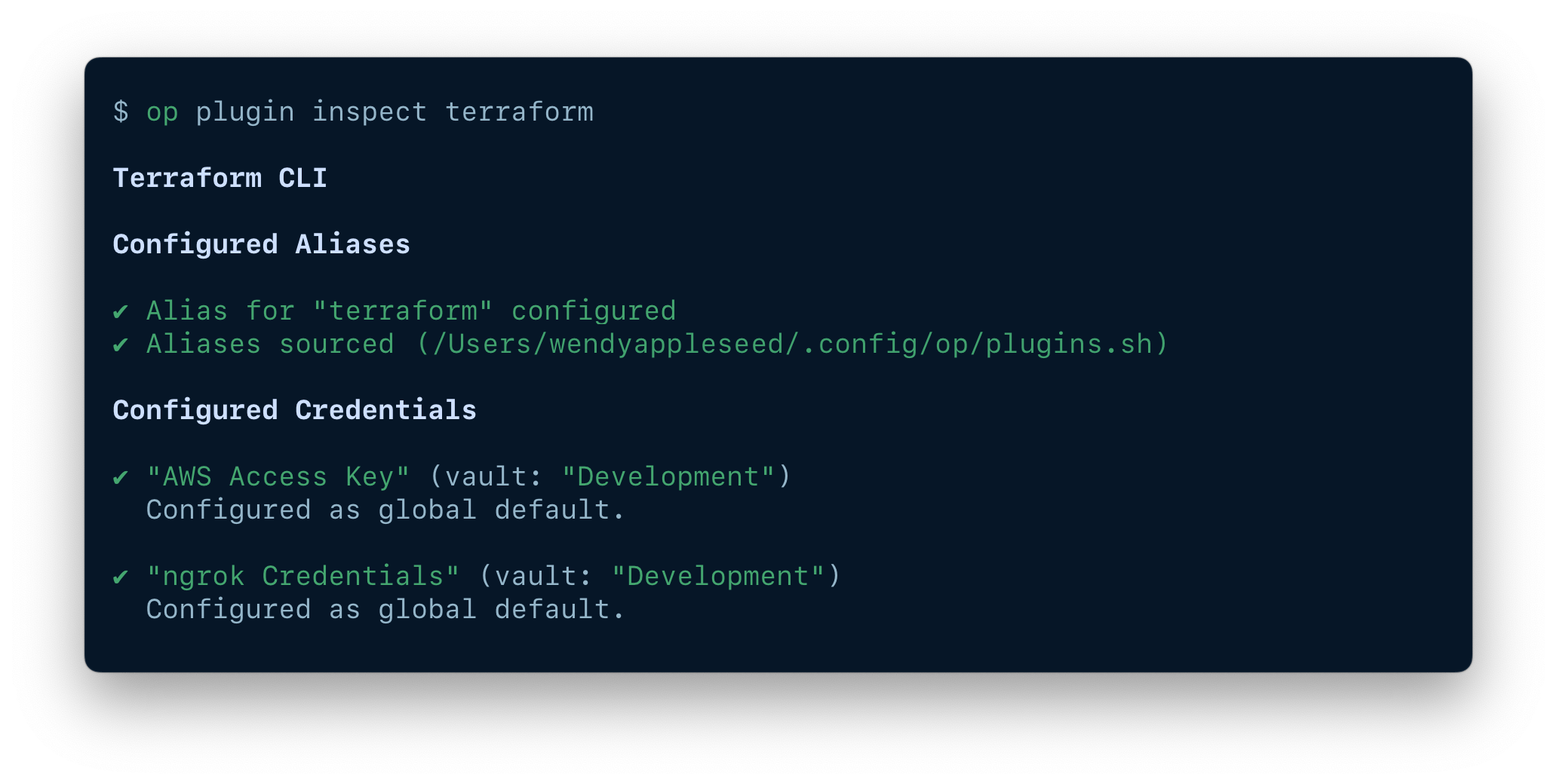 1Password CLI inspecting a Terraform shell plugin with AWS and ngrok credentials configured as global defaults.