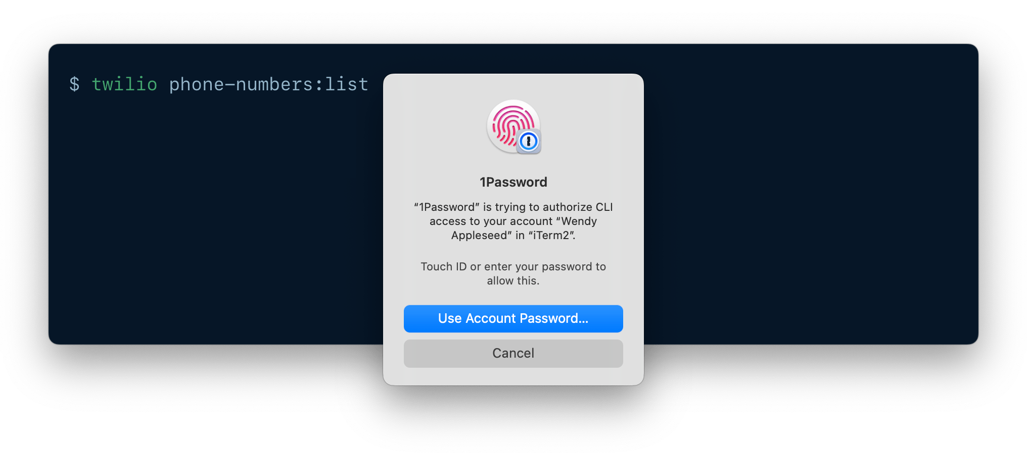 A CLI being authenticated using 1Password CLI biometric unlock.