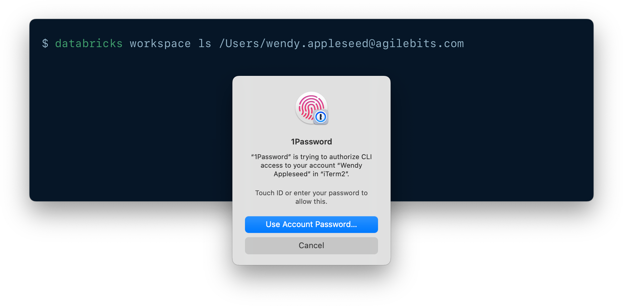 A CLI being authenticated using 1Password CLI biometric unlock.