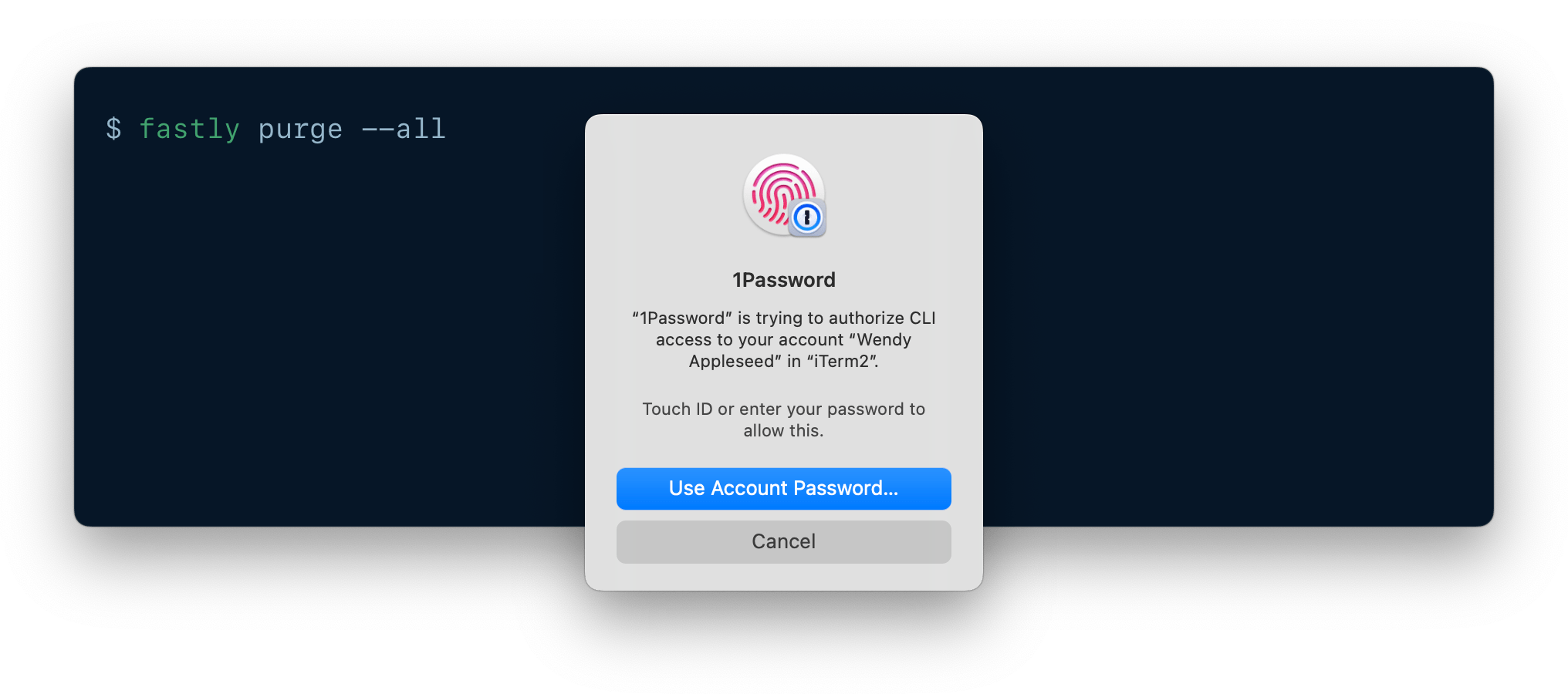 A CLI being authenticated using 1Password CLI biometric unlock.