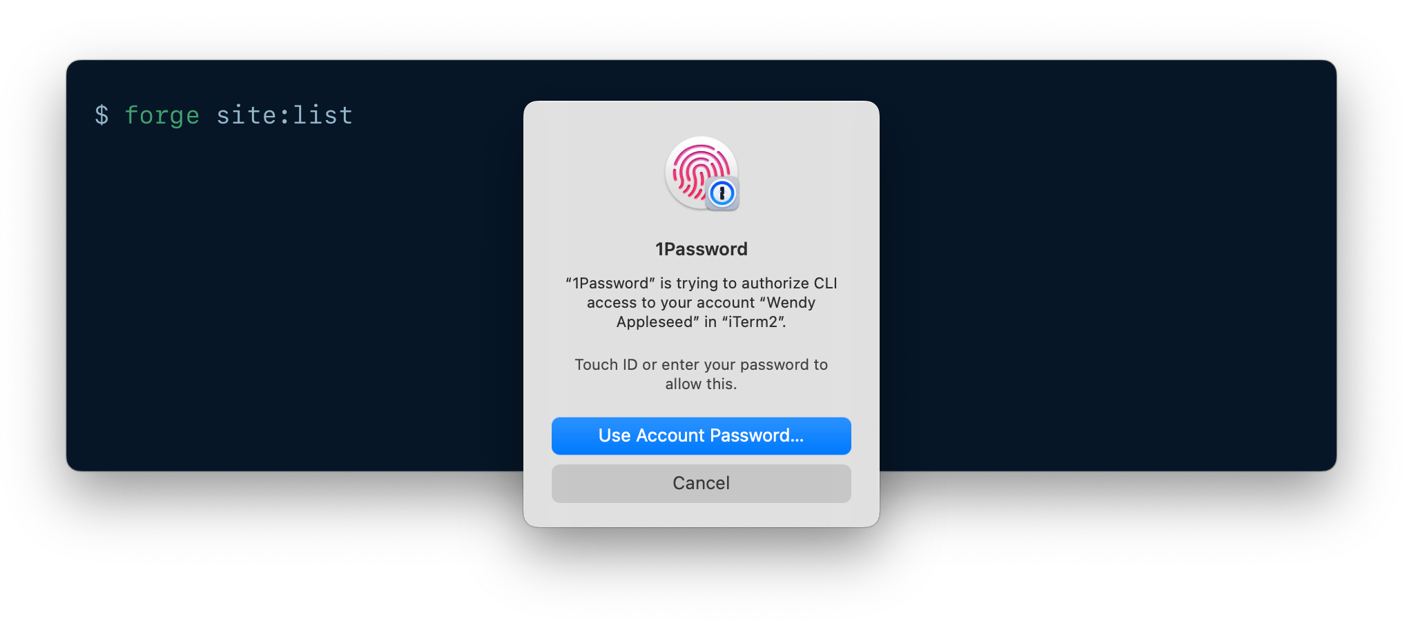 A CLI being authenticated using 1Password CLI biometric unlock.