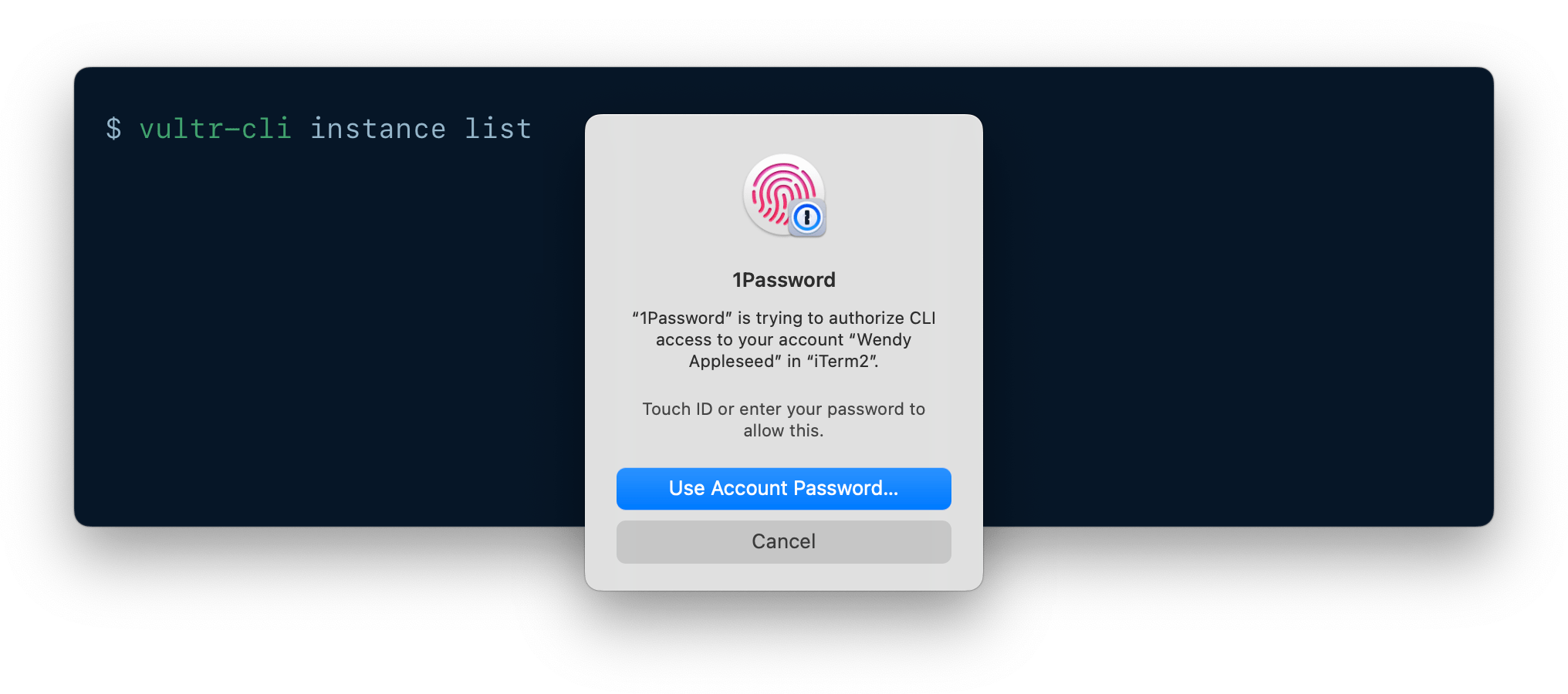 A CLI being authenticated using 1Password CLI biometric unlock.