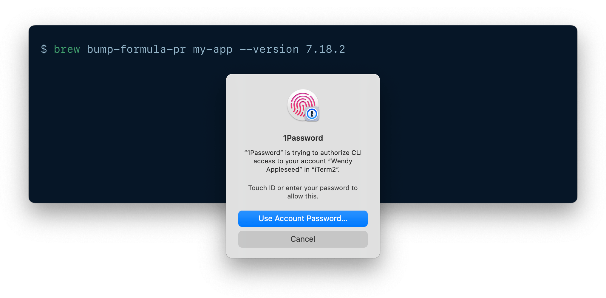 A CLI being authenticated using 1Password CLI biometric unlock.