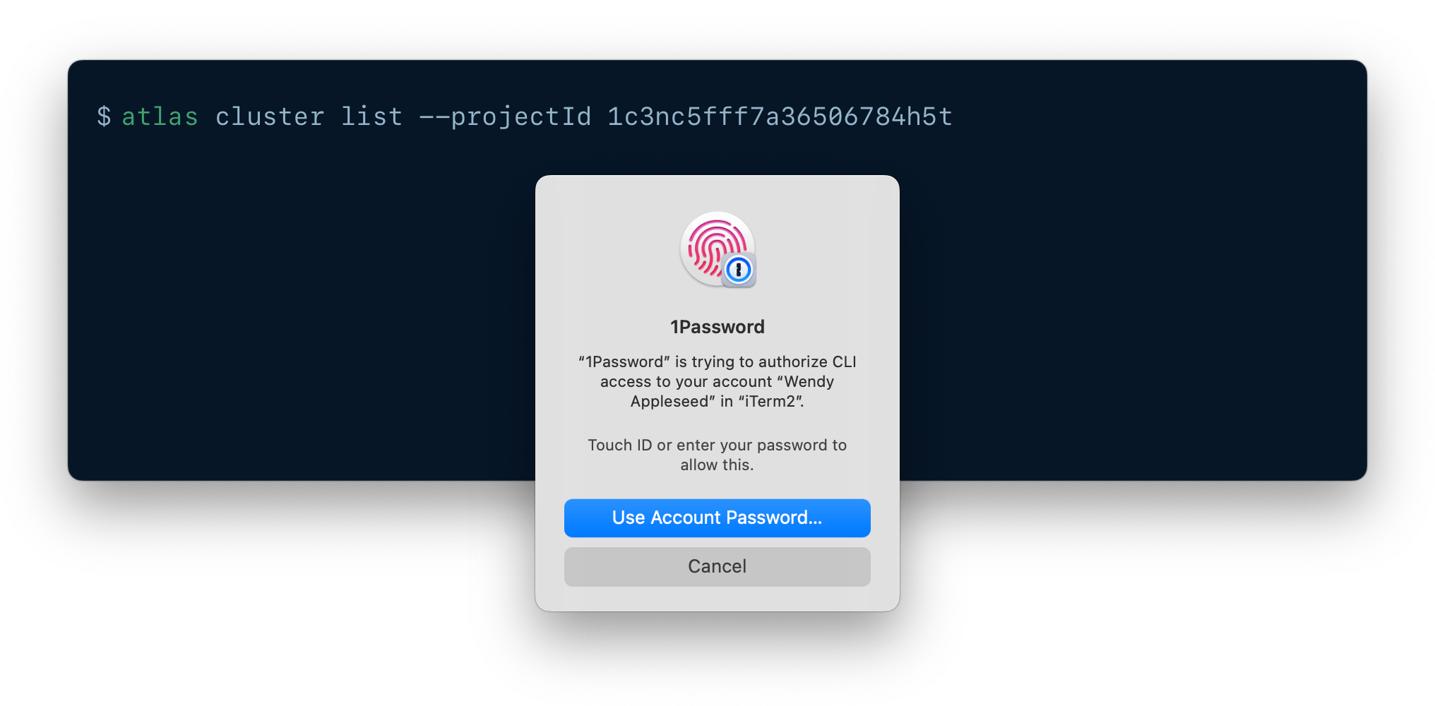 A CLI being authenticated using 1Password CLI biometric unlock.