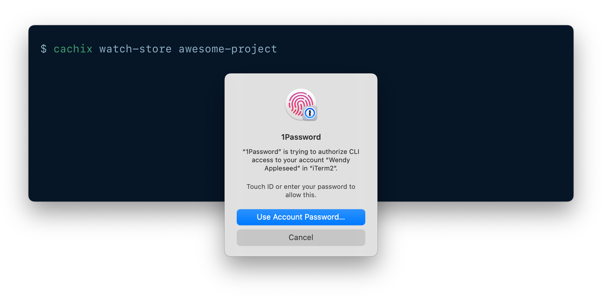 A CLI being authenticated using 1Password CLI biometric unlock.