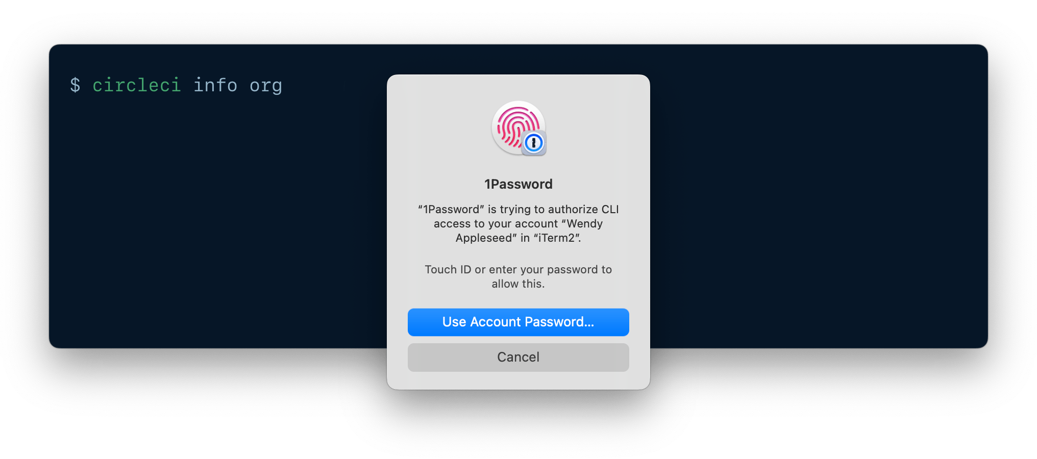 A CLI being authenticated using 1Password CLI biometric unlock.