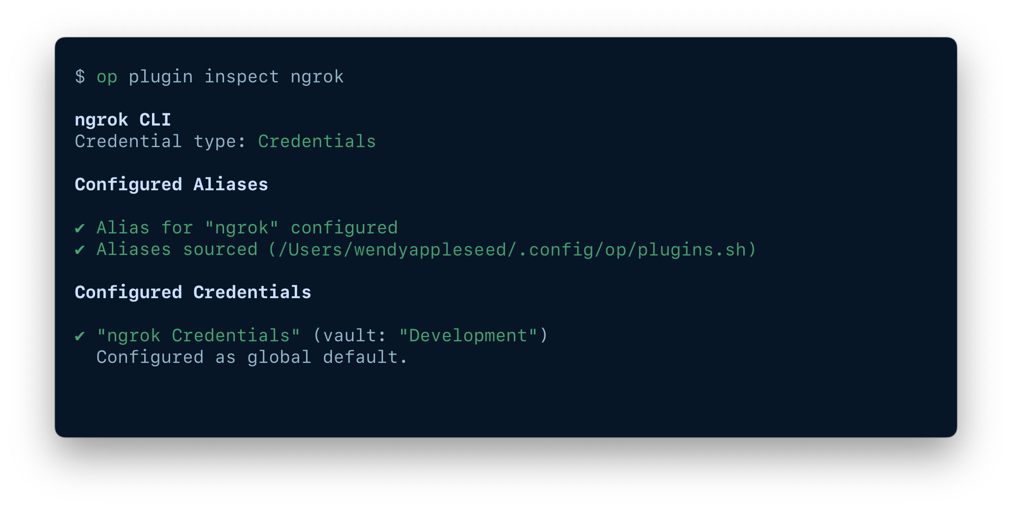 A terminal window showing the results of the command op plugin inspect.