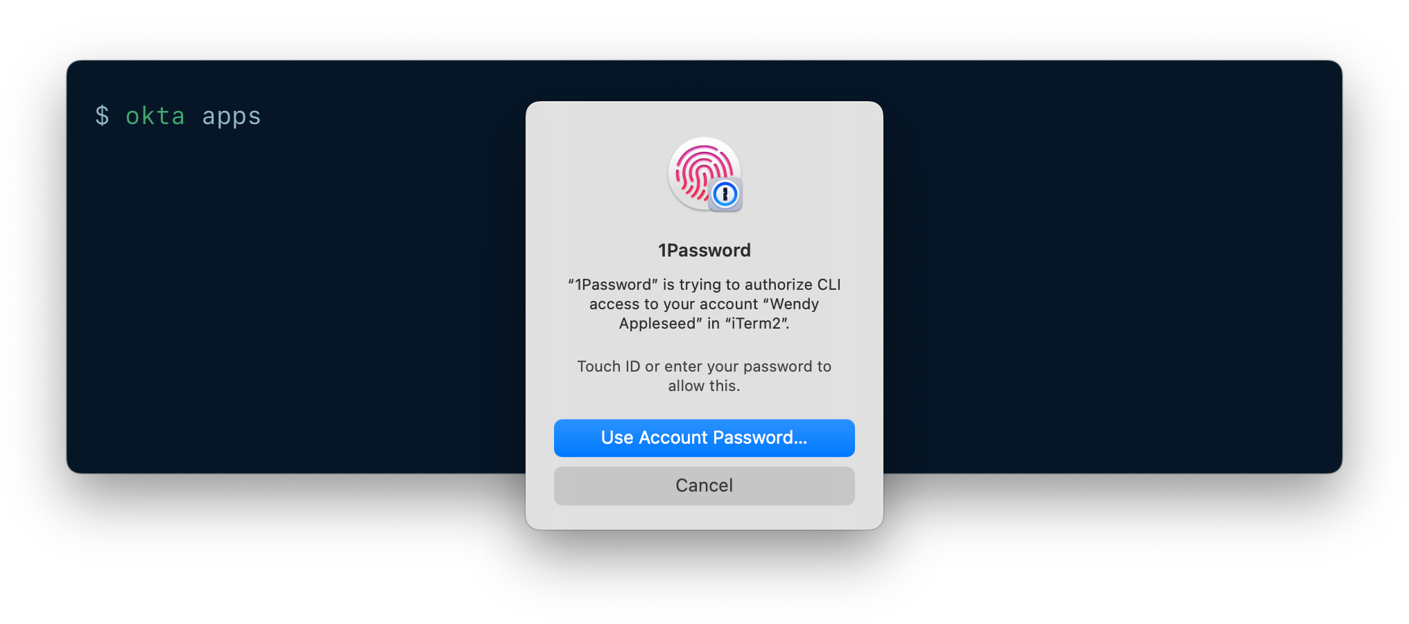 A CLI being authenticated using 1Password CLI biometric unlock.