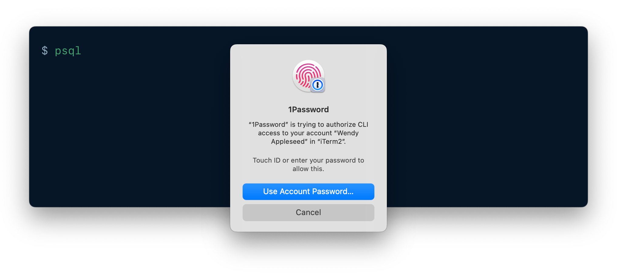 A CLI being authenticated using 1Password CLI biometric unlock.