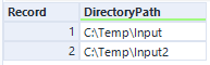 Use Skill input table showing two rows with DirectoryPath values C:\Temp\Input and C:\Temp\Input2