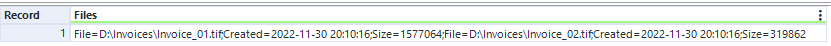 Use Skill Files column input showing a single row with two file paths and their Created and Size parameters