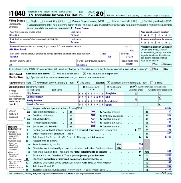 IRS Form 1040 - 2020
