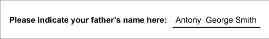 Spaces.fsp Projectで使用されるサンプル文書カードのスクリーンショット。データfield「Father's name」の上にfield名「Please indicate your father's name here:」が表示されています。