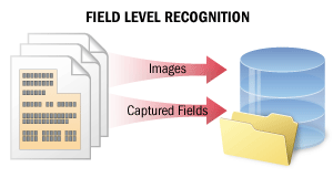 intro_Scenarios_FieldLevelRecognition