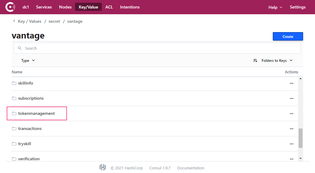 Consul vantage project showing list of services with tokenmanagement highlighted