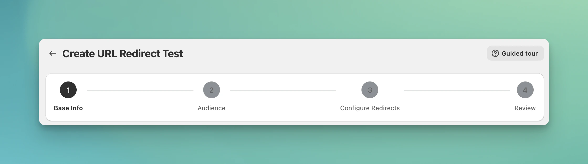 Audience step configuration in test setup