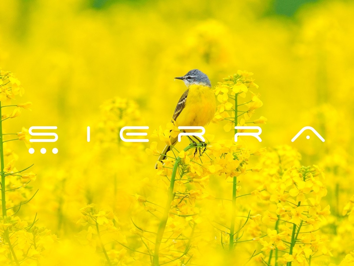 workspaces_smarter_small