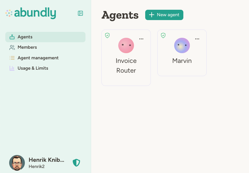 The Team page showing agent cards and navigation