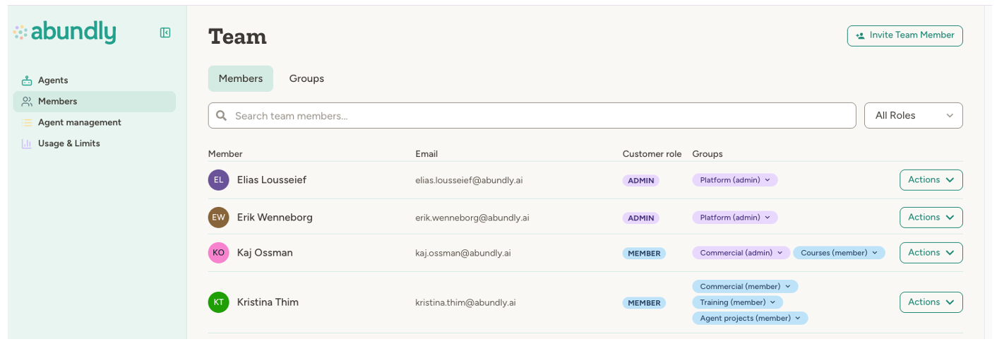 Team members page showing a list of members with their emails and roles