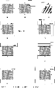 Open Space Requirements Between Adjacent Buildings in the Same Plot in Different Layouts
