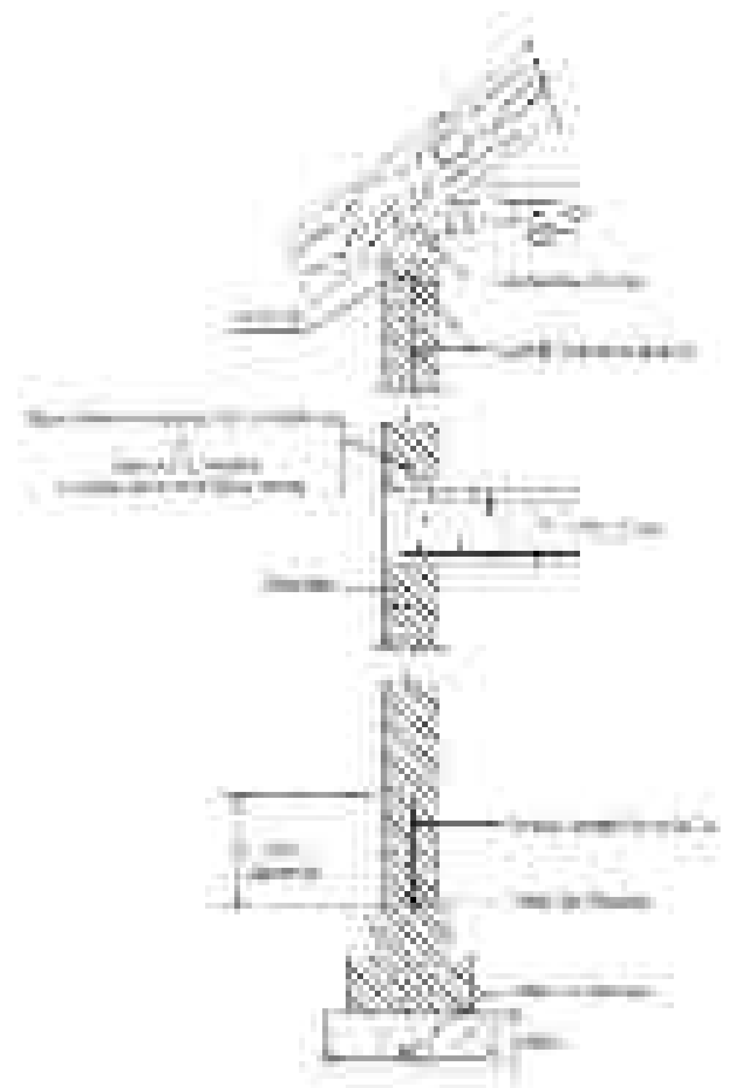 Continuous tie from roof to foundation of masonry structure showing roof truss connection, bond beam, vertical reinforcement, and foundation tie