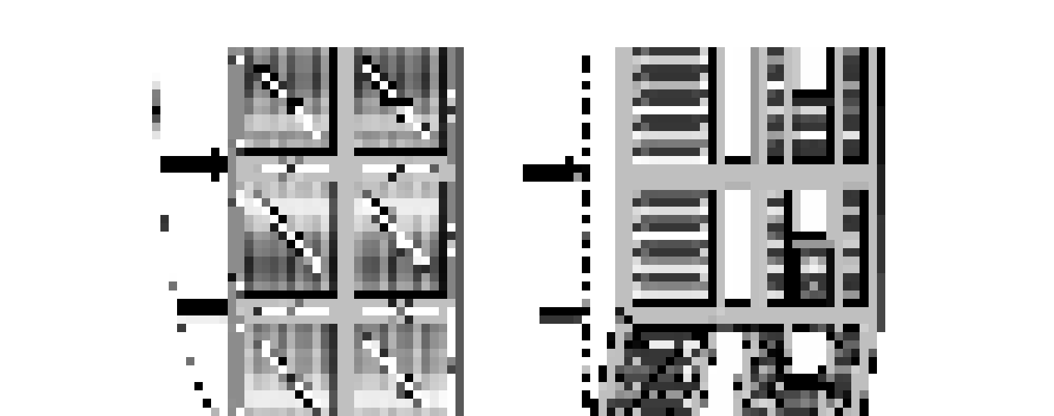 Confined masonry building seismic behavior: (a) vertical truss model with diagonal struts; (b) soft storey collapse at ground floor level