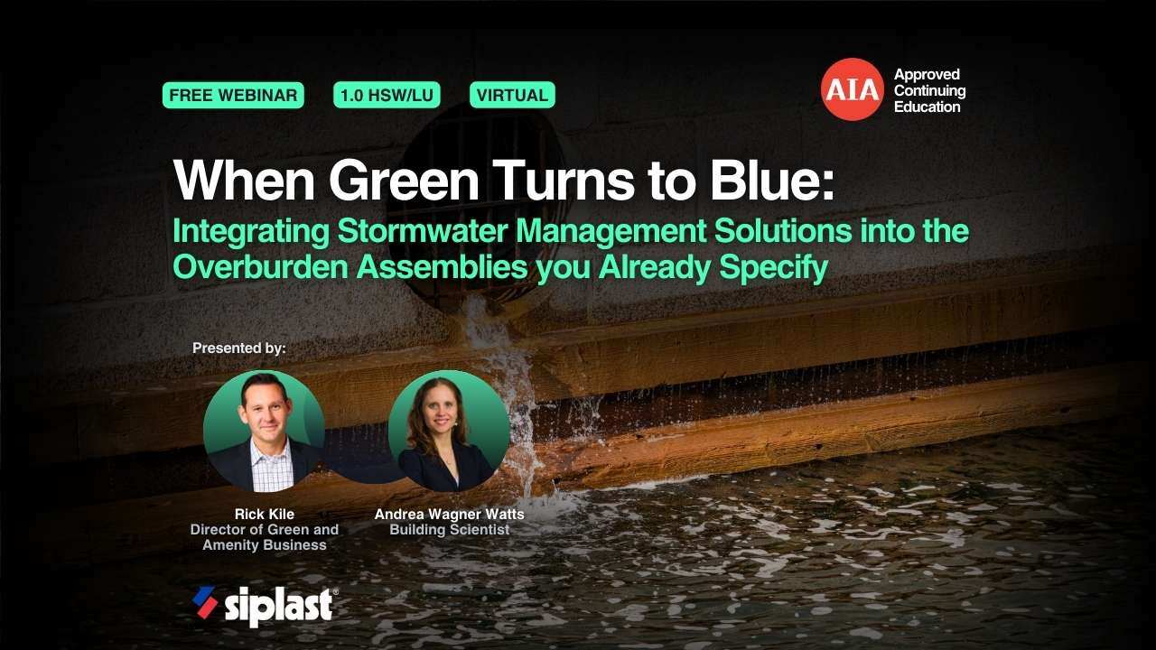 When Green Turns to Blue webinar cover