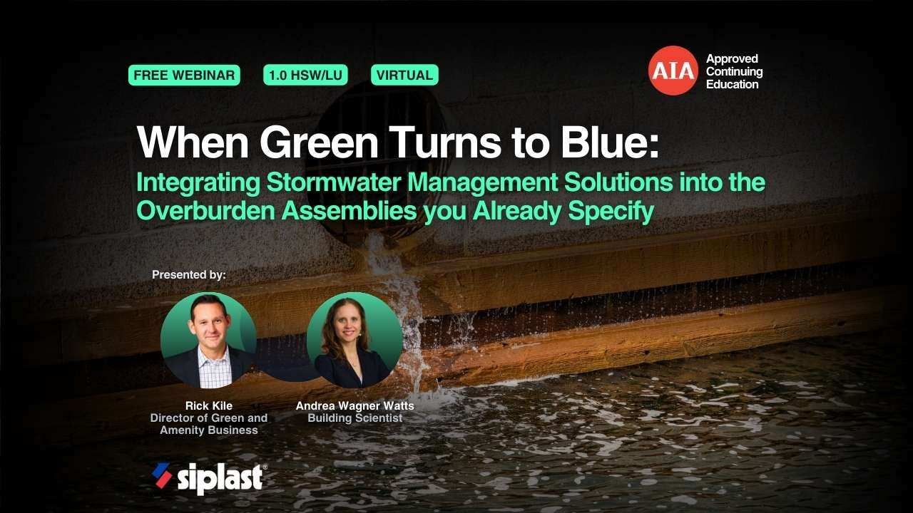 When Green Turns to Blue webinar cover