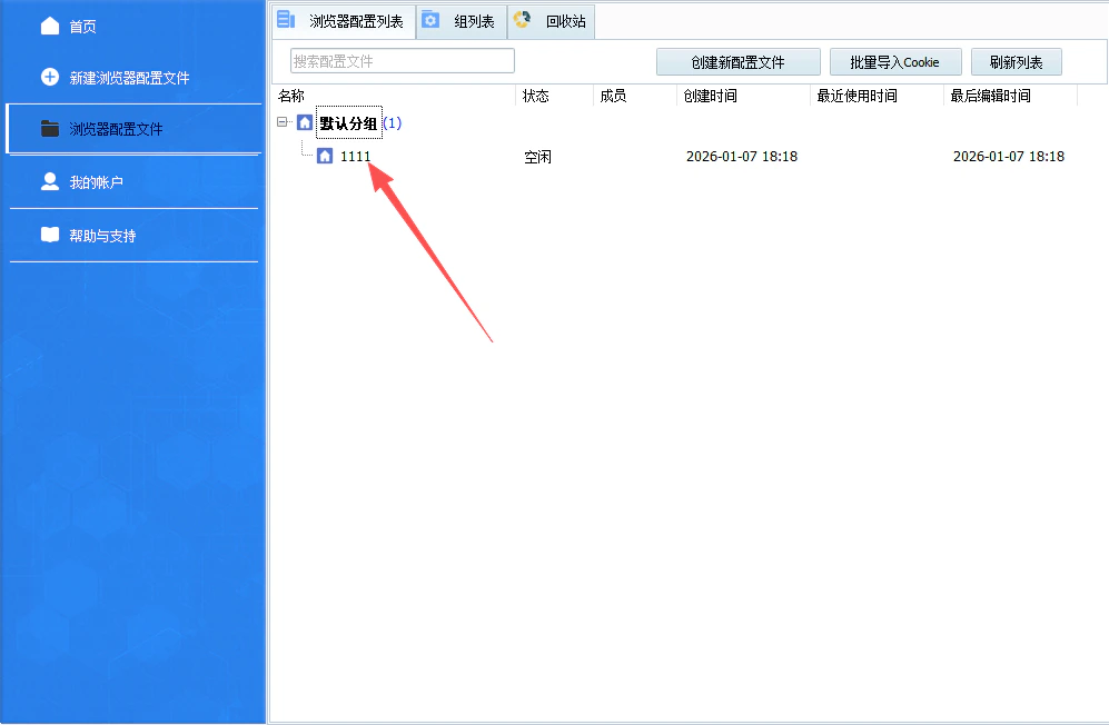 Launch the configured browser environment
