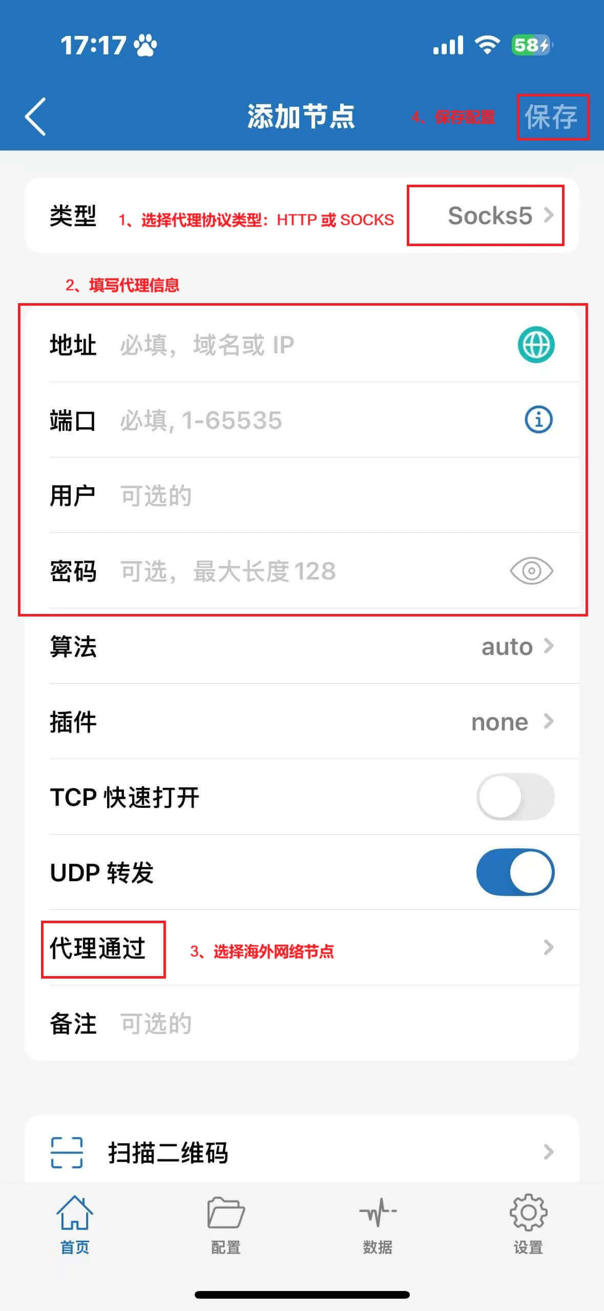 Shadowrocket 代理信息填写界面