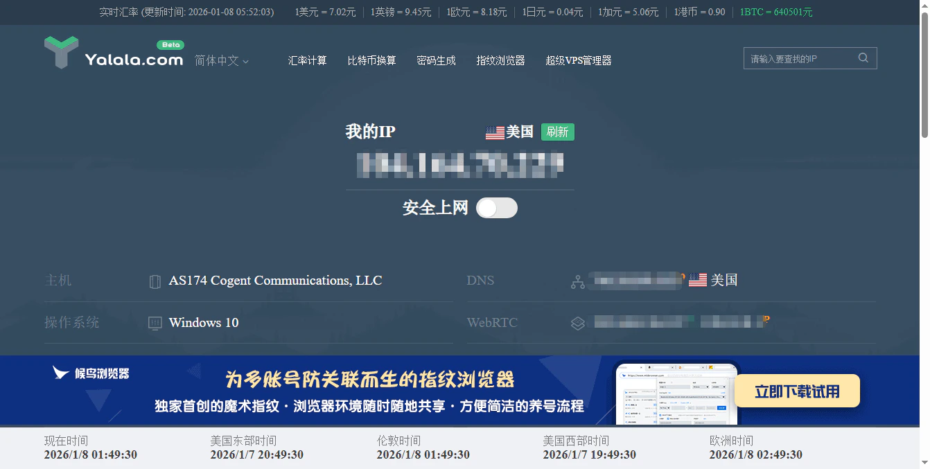Proxy IP verification page