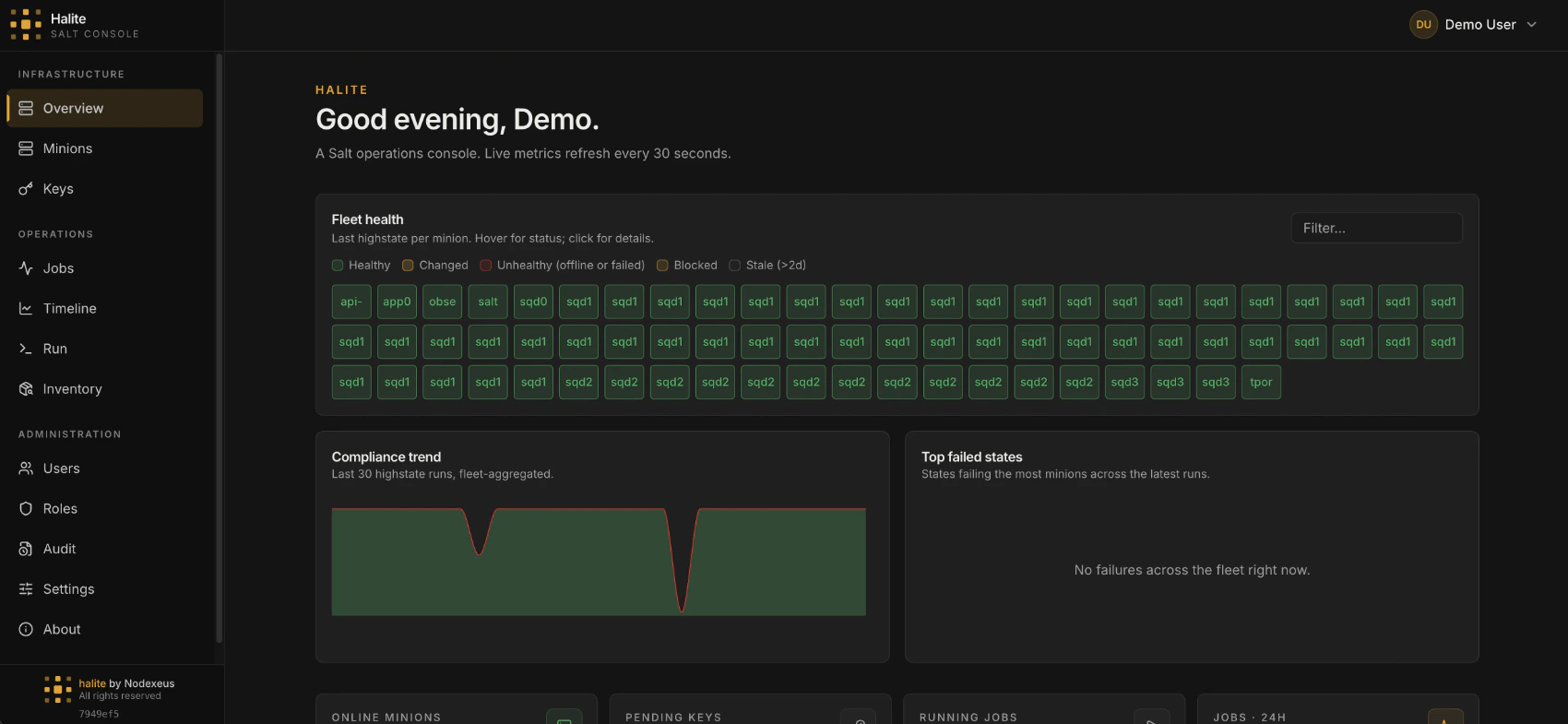 Halite dashboard showing KPIs, minion-status donut, 24-hour job-activity chart, and key-status bar