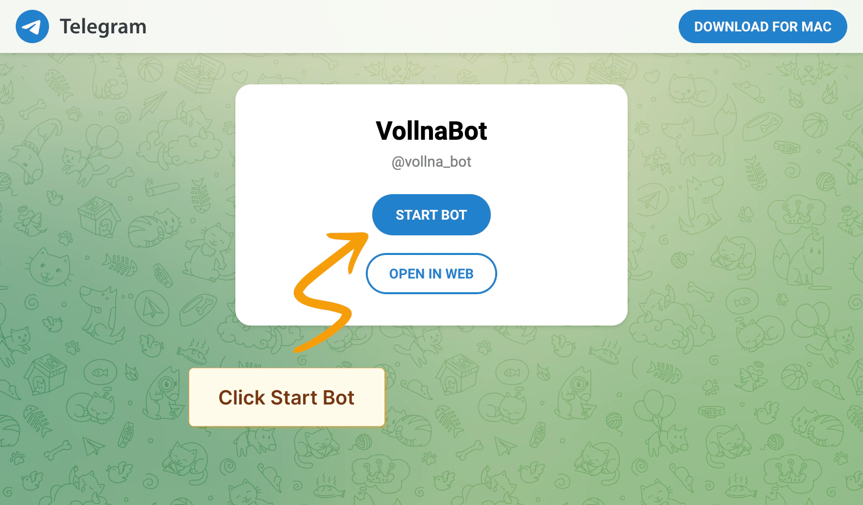 Telegram bot setup showing the Start Bot button and verification link