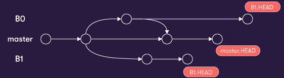 Branches_0