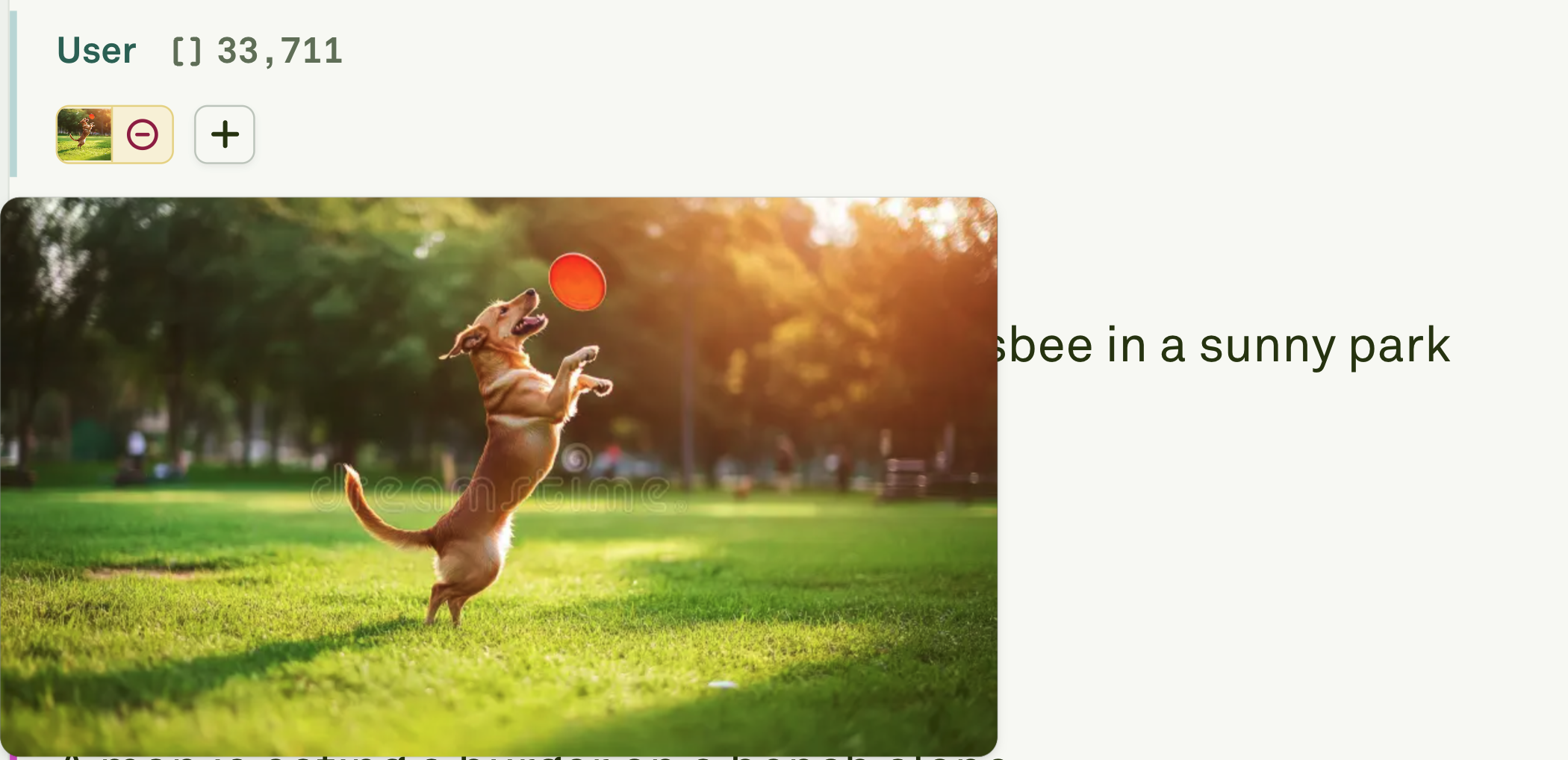 User message with example image User message with example image