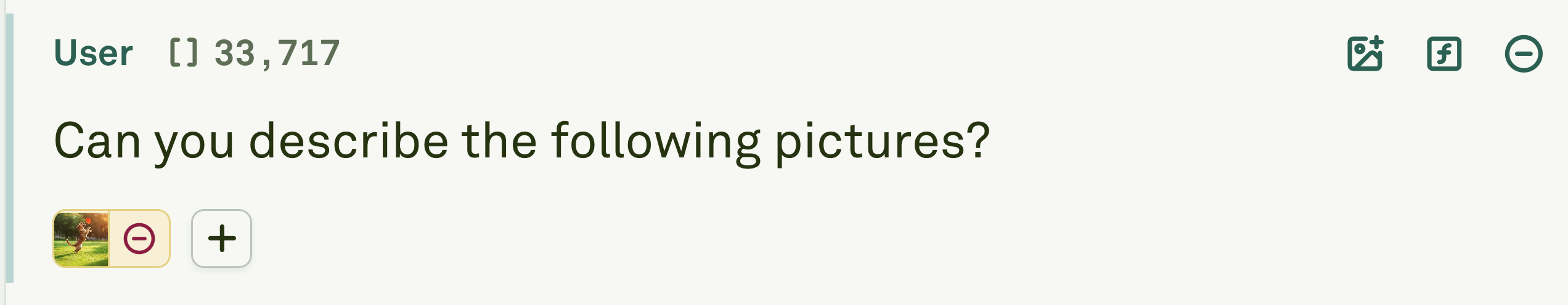 Messages Role Messages role