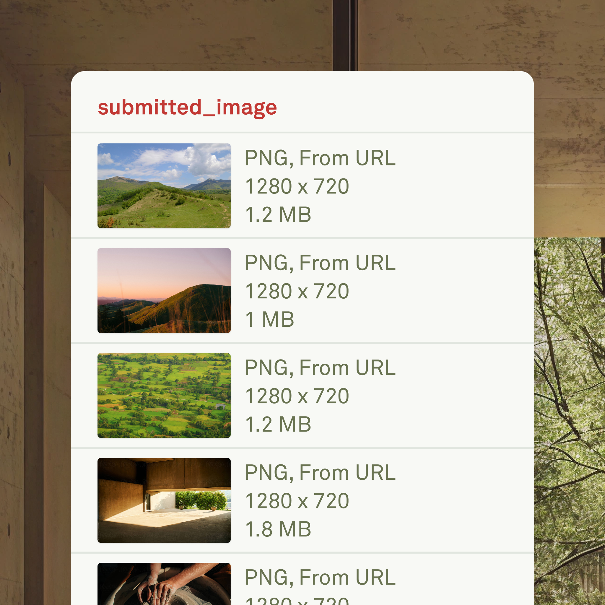Image cells rendered in a dataset Image cells rendered in a dataset