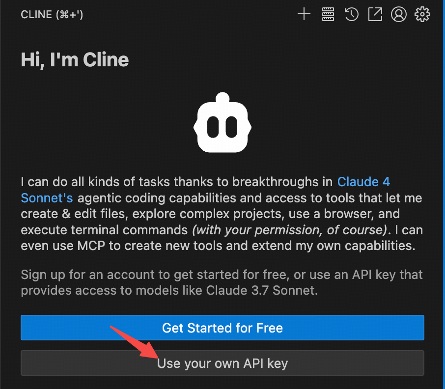 Cline welcome screen with Use your own API key button
