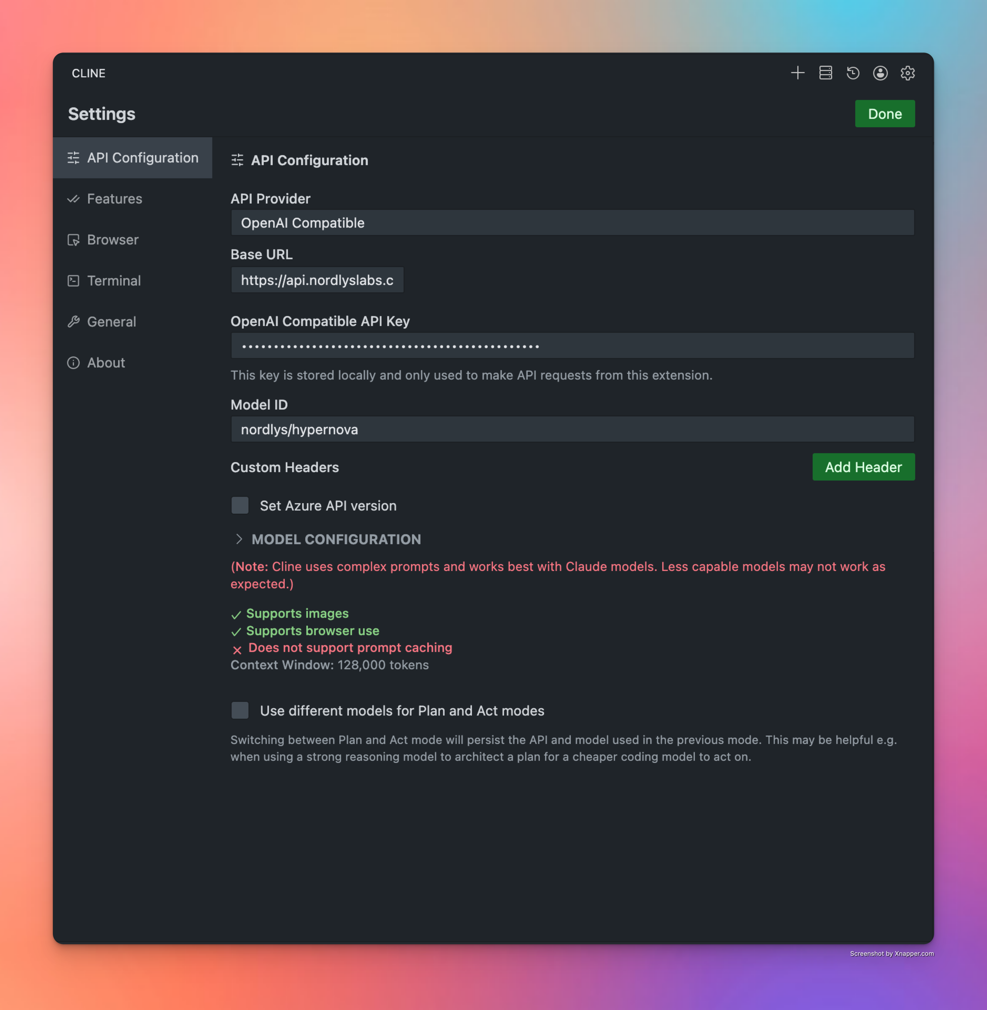 Cline API settings configuration