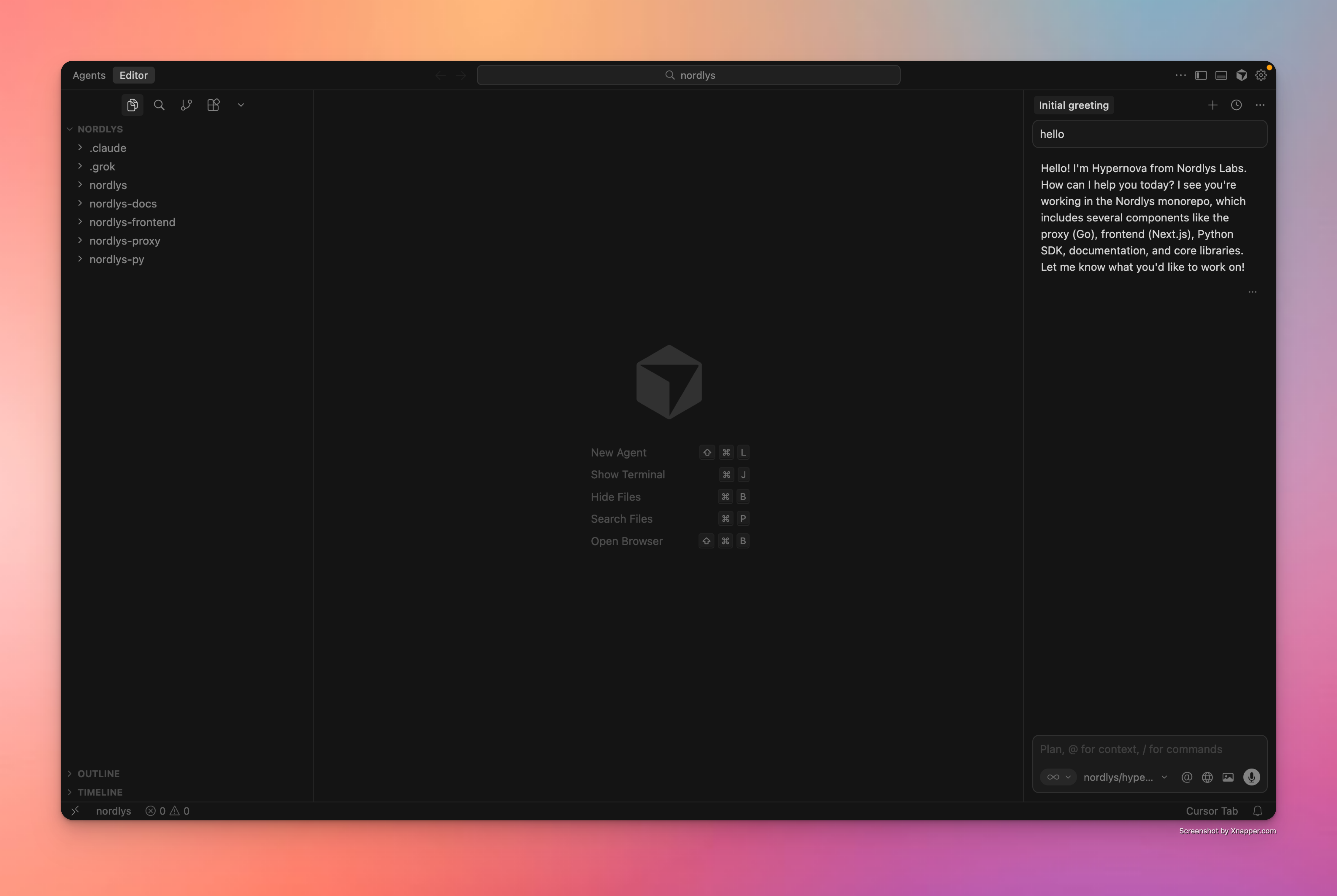 Cursor successfully configured with Nordlys