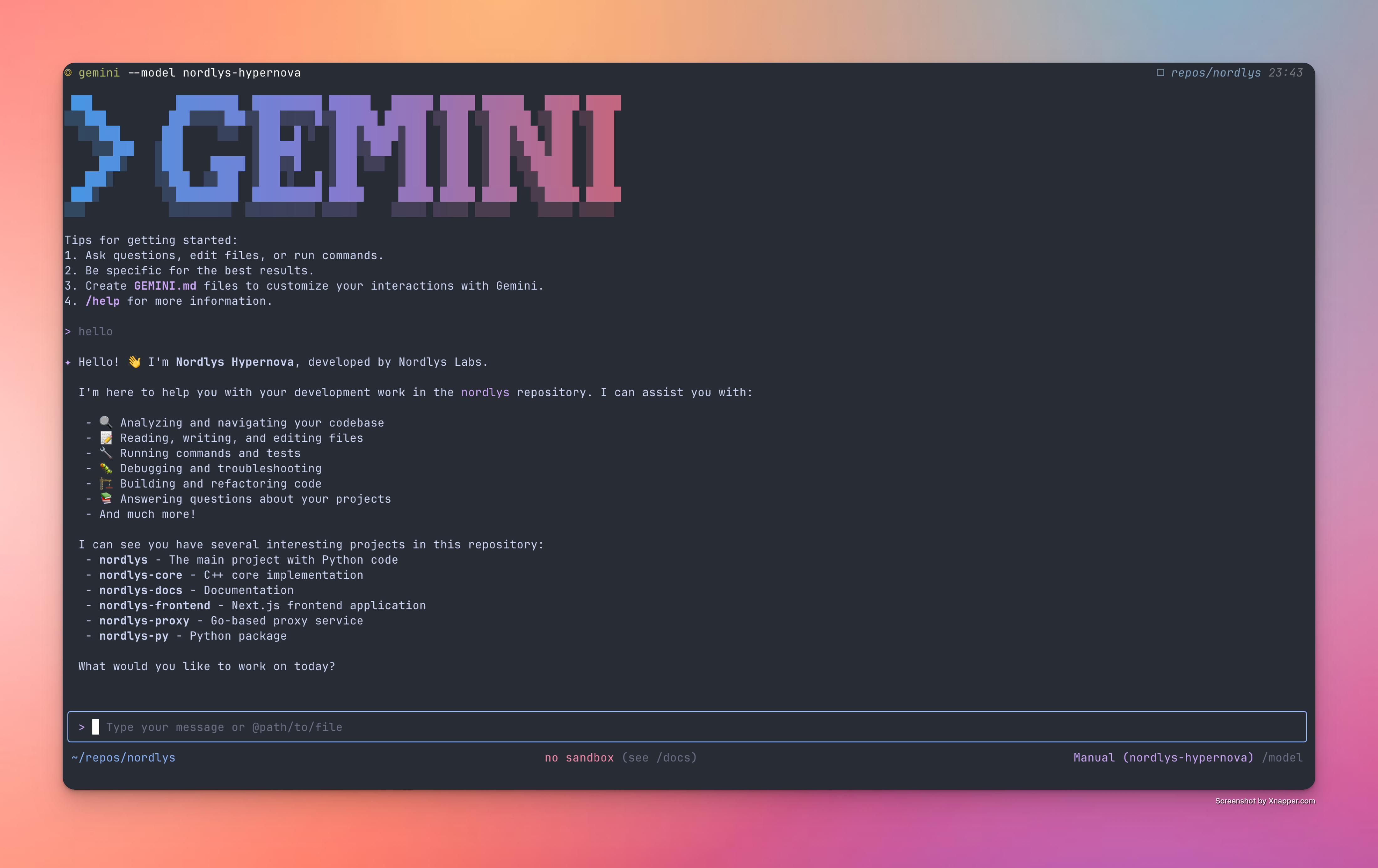 Gemini CLI successfully configured with Nordlys