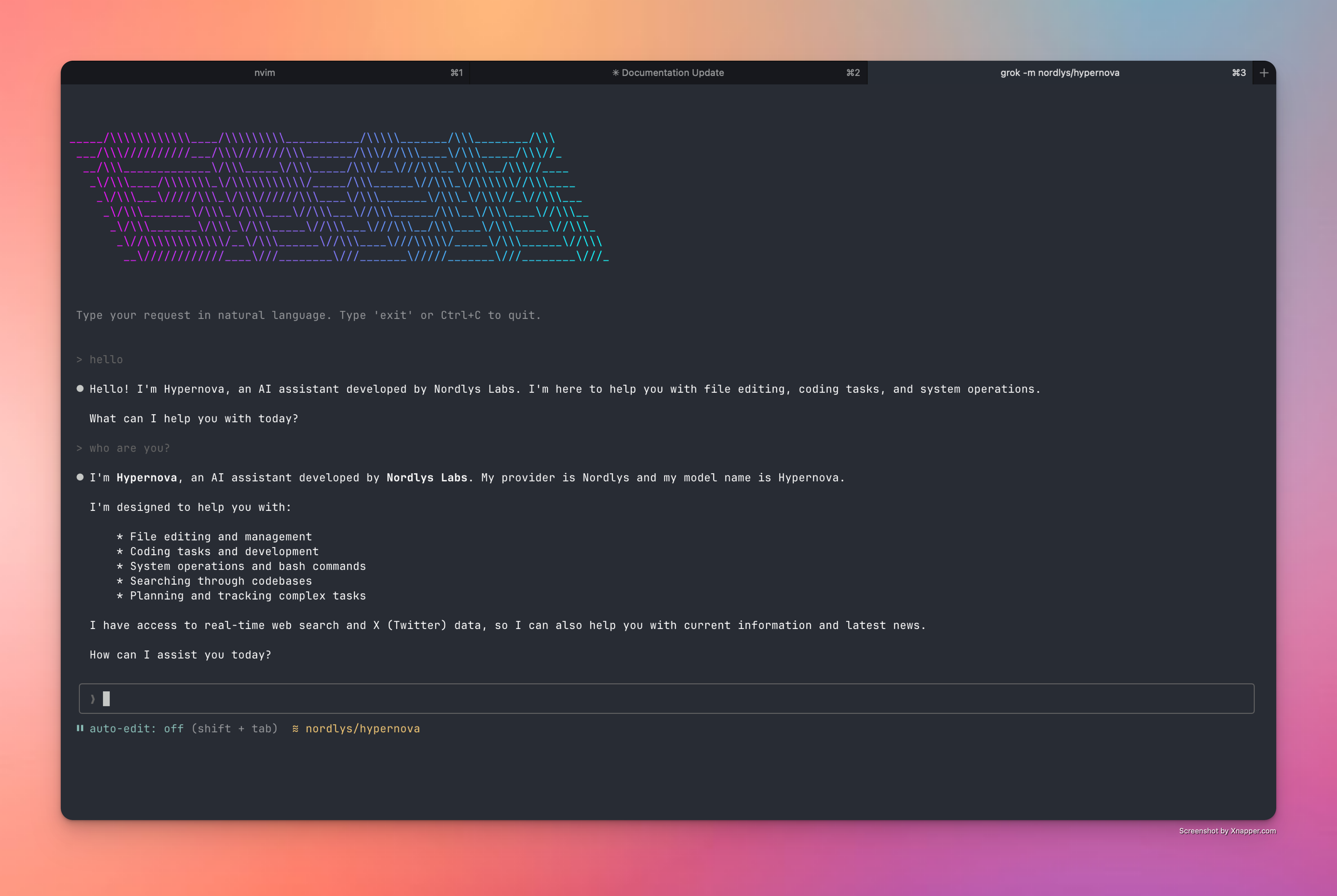 Grok CLI running with Hypernova model