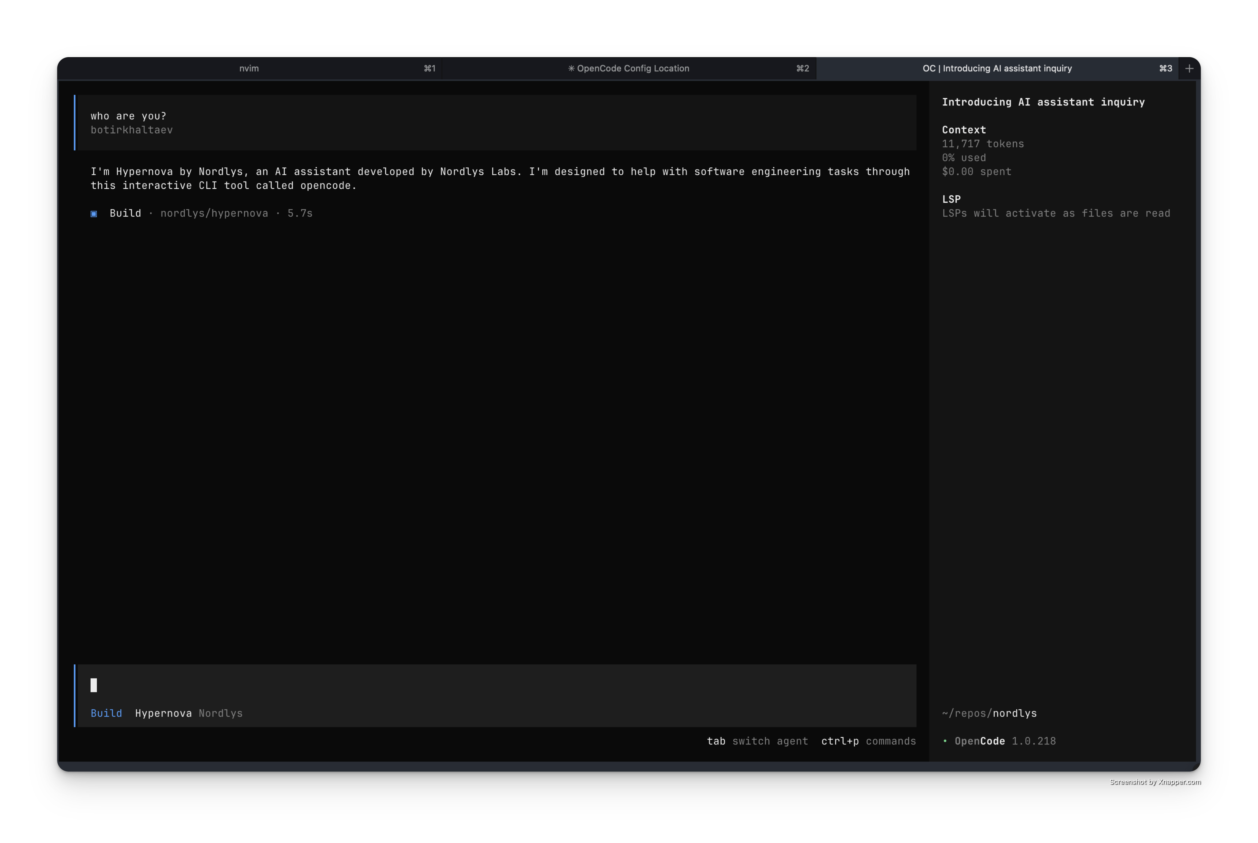 OpenCode working with Hypernova