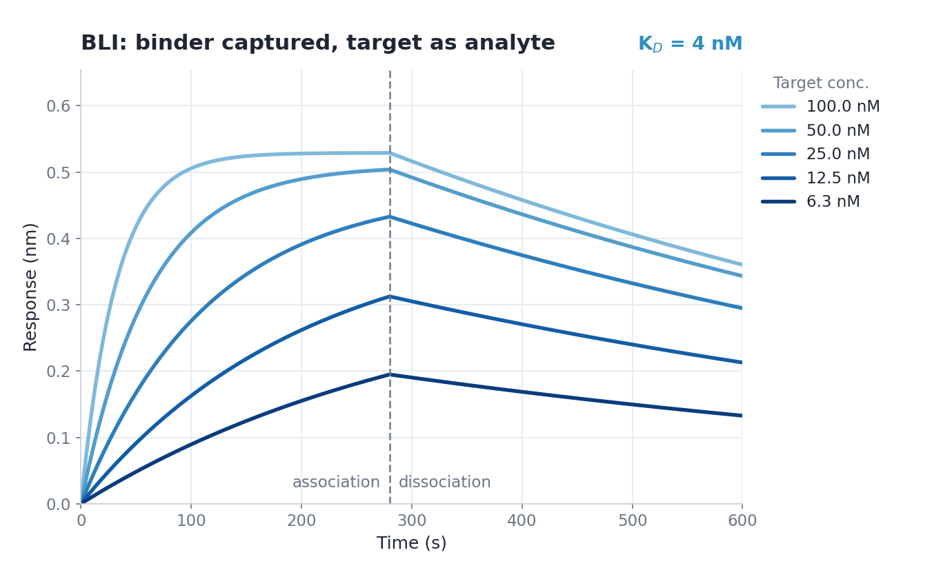 BLI sensorgram showing association and dissociation across a target concentration series