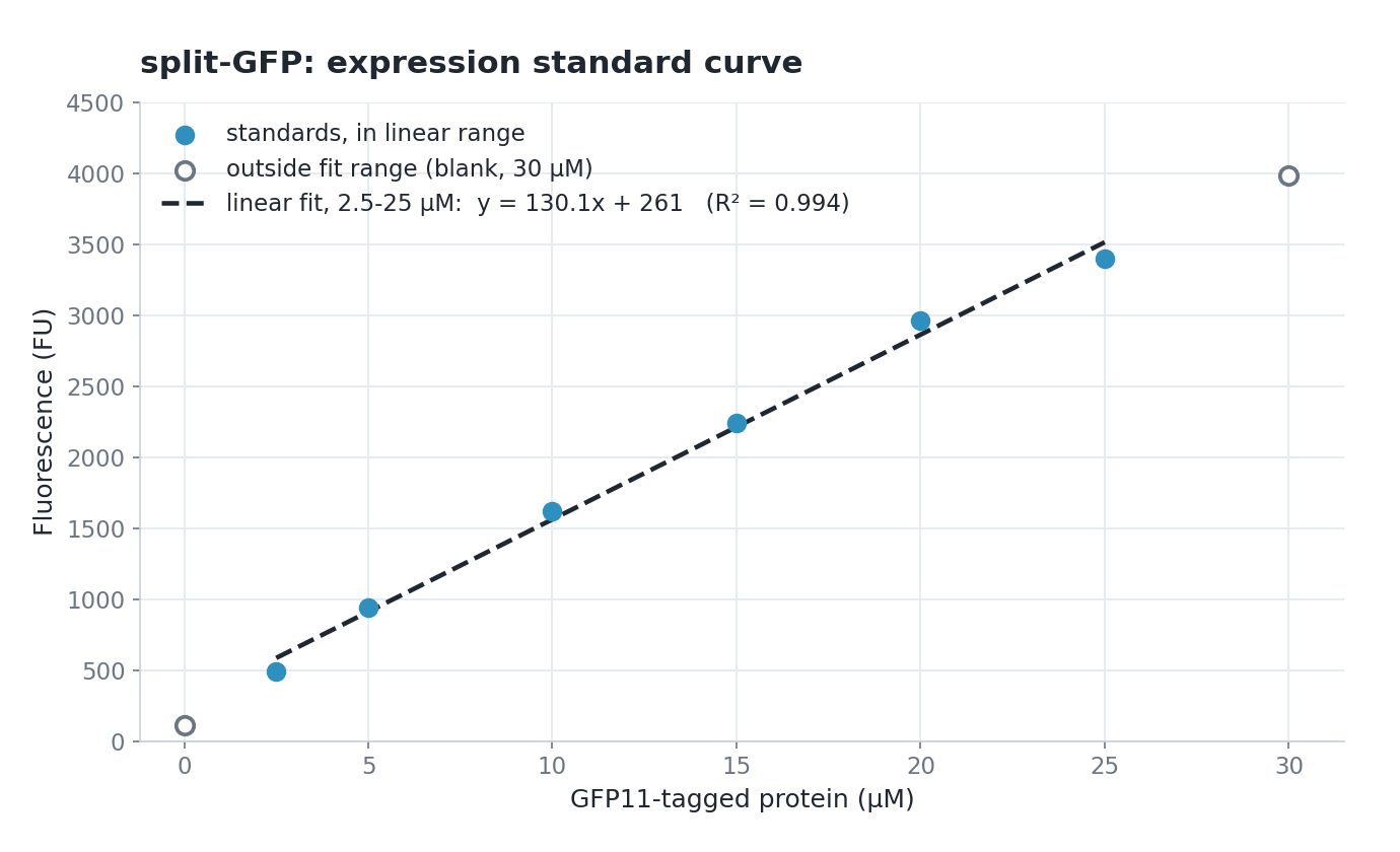 split-GFP standard curve: measured fluorescence against GFP11-tagged protein concentration, with a linear fit of y = 130.1x + 261 and R² = 0.994 over 2.5 to 25 µM