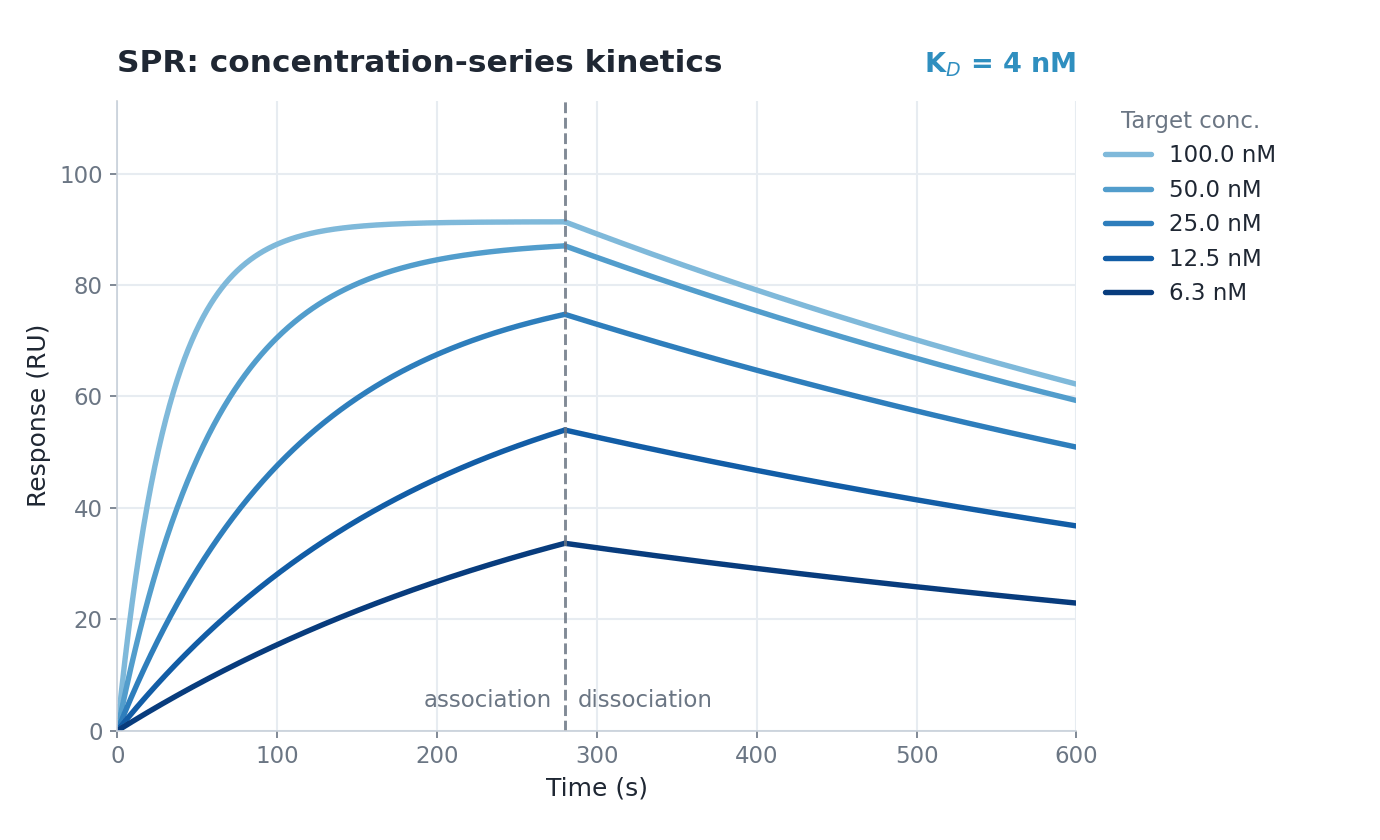 SPR sensorgram showing association and dissociation across a target concentration series