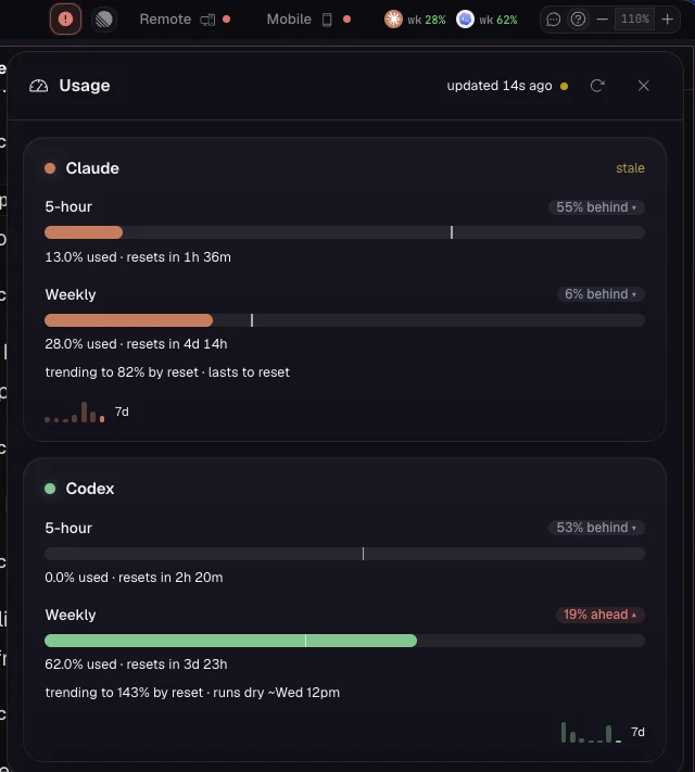 Per-provider usage and quota windows in ADE