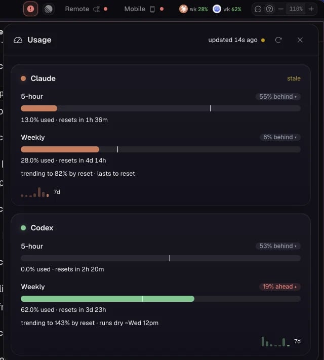 Per-provider usage and quota windows in ADE