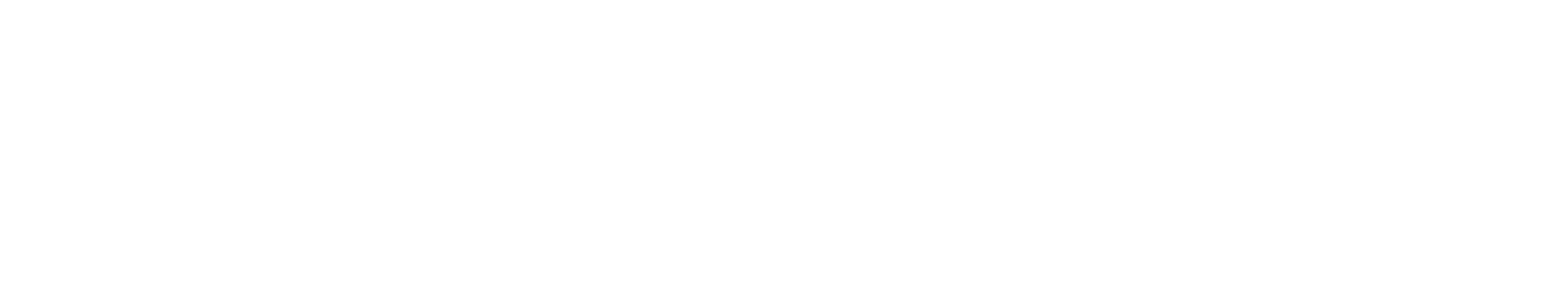 light logo